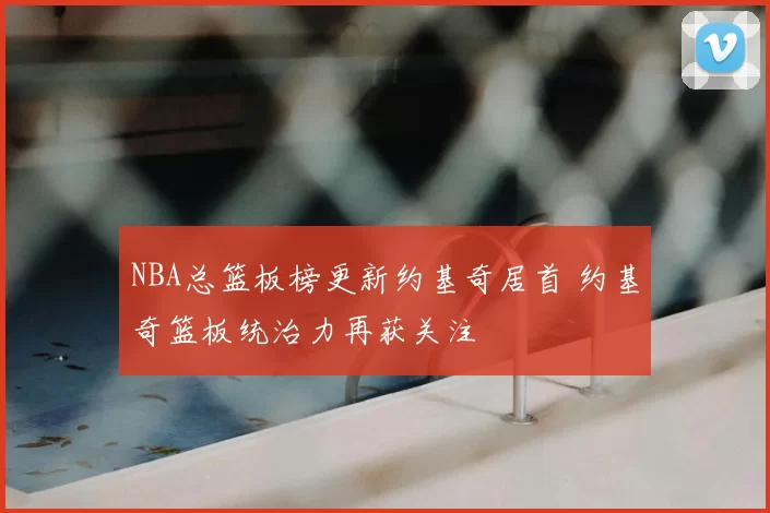 NBA总篮板榜更新约基奇居首 约基奇篮板统治力再获关注
